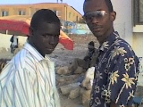 les deux start de POB